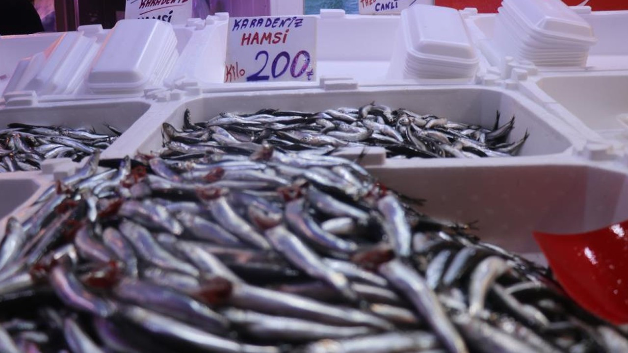 Hamsi yurda döndü, tezgahlardaki fiyatın ateşi düştü haber görseli
