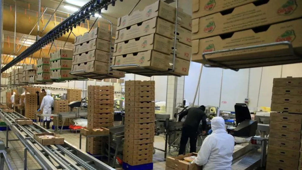 Ticaret Bakanlığı tavuk ihracatını durdurdu