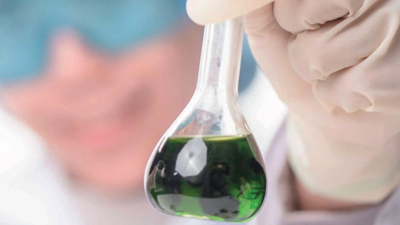 'Biyoponik'le yosun ithalatını düşürecek