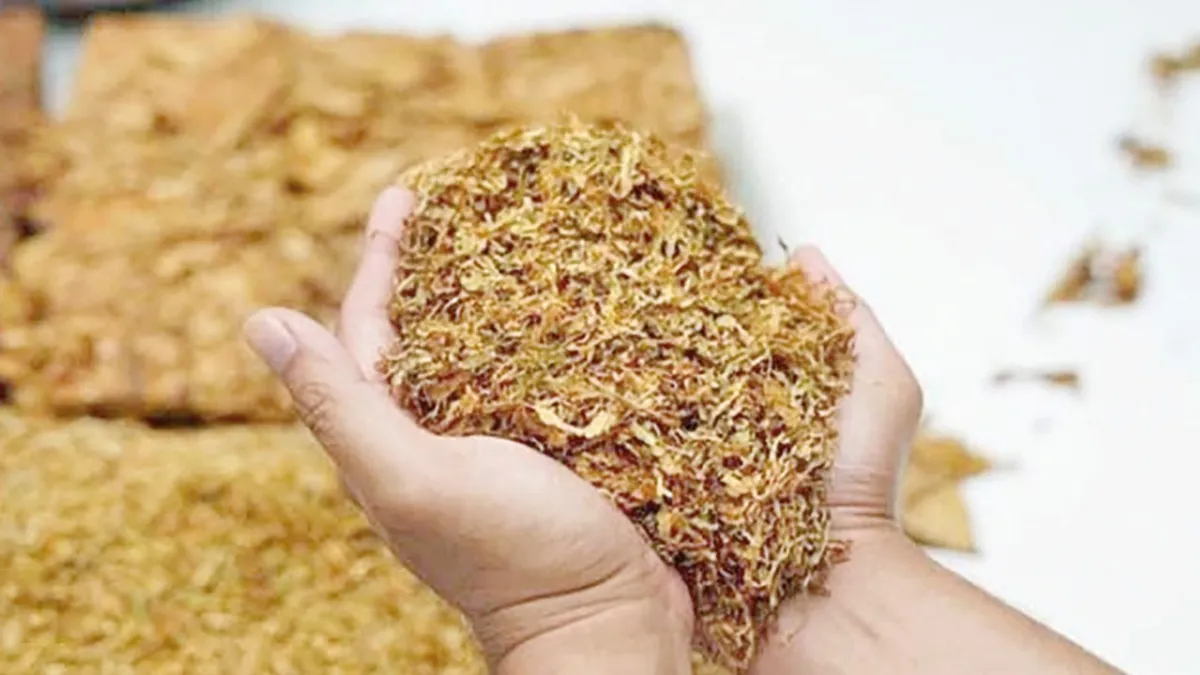 Tütünde “yeni nesil” kayıt dışı kalıyor haber görseli