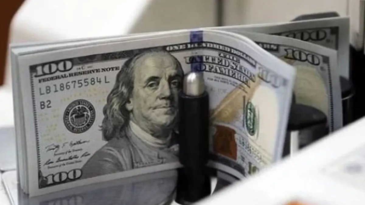 Dolar kaç TL oldu, Euro ne kadar? (21 Şubat Cumartesi Döviz Kurları) haber görseli