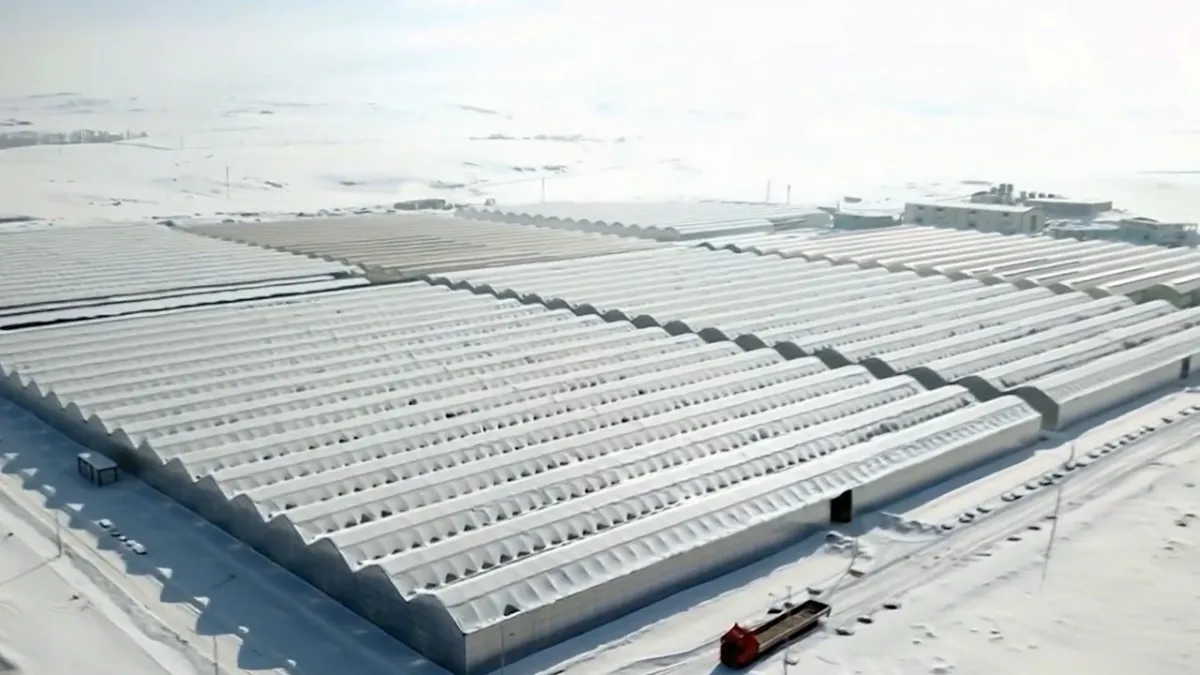 Jeotermal yatırımla tarımda yeni dönem: Ağrı Diyadin’de sera OTB tamamlandı haber görseli