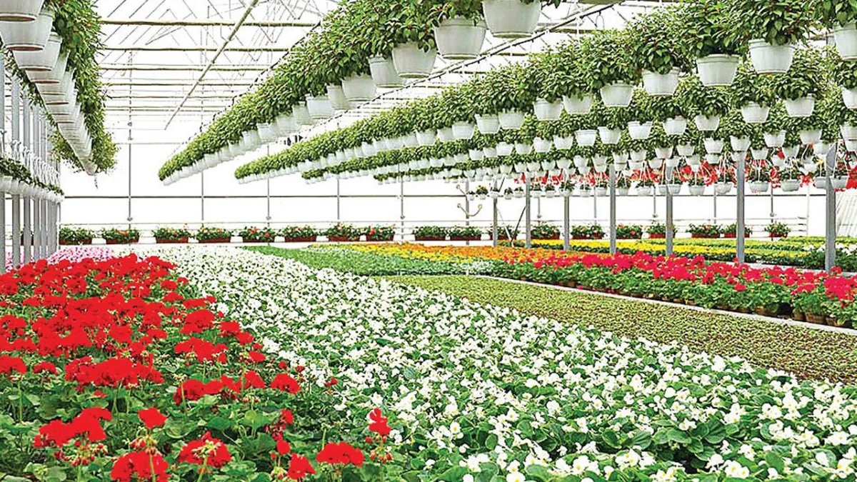 Mersin tarımında yeni hedef süs bitkileri OSB haber görseli