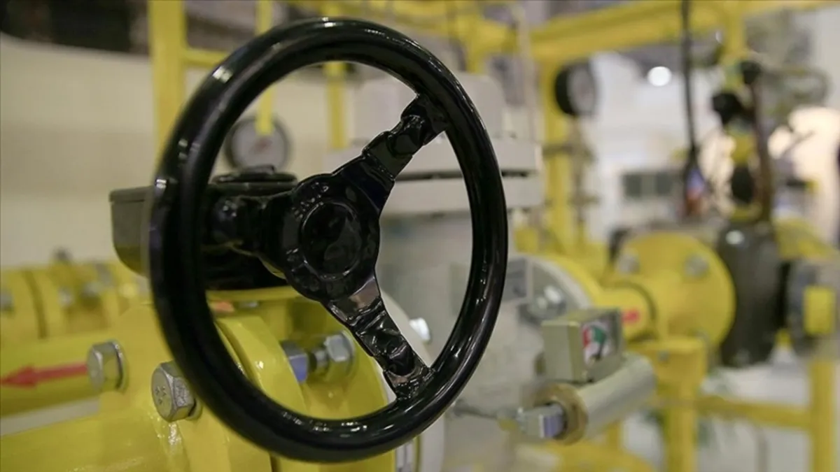 Goldman doğalgaz tahminini yüzde 53 artırdı