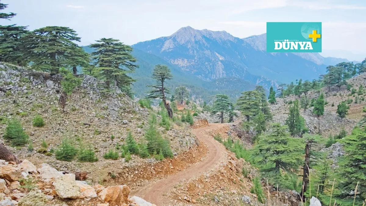 Likya Yolu: Baharın en güzel yürüyüşü haber görseli