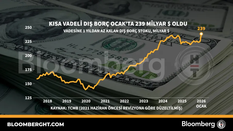 Kısa vadeli dış borç Ocak'ta 239 milyar dolar oldu