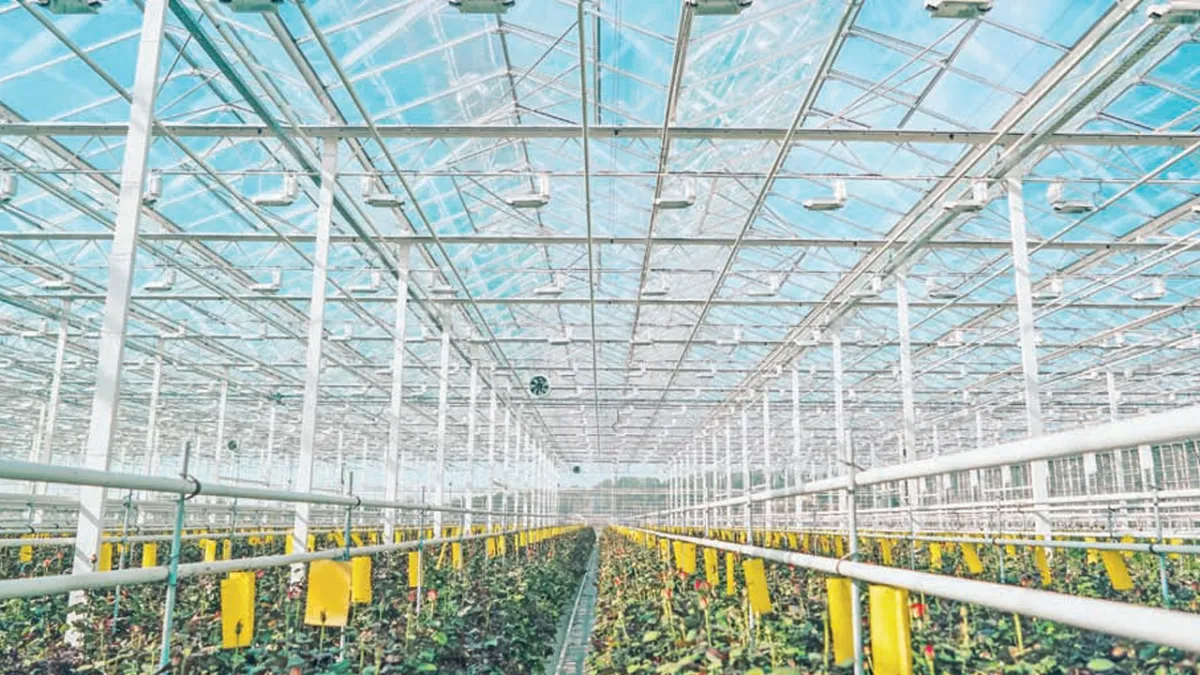 Modern serada hedef 2030’da 35 bin dekar