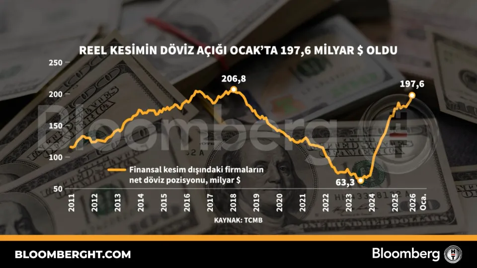 Reel kesimin döviz açığı Ocak'ta 197,6 milyar dolar oldu