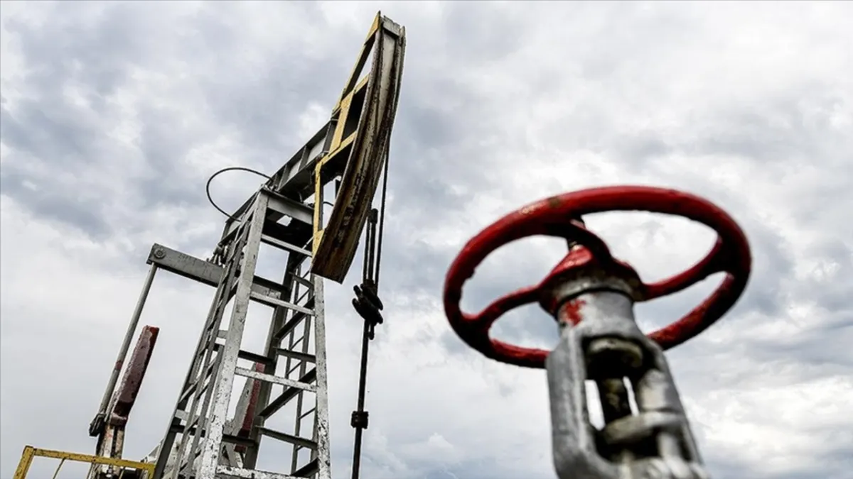 Enerji ithalatı faturası şubatta yüzde 19,2 azaldı.