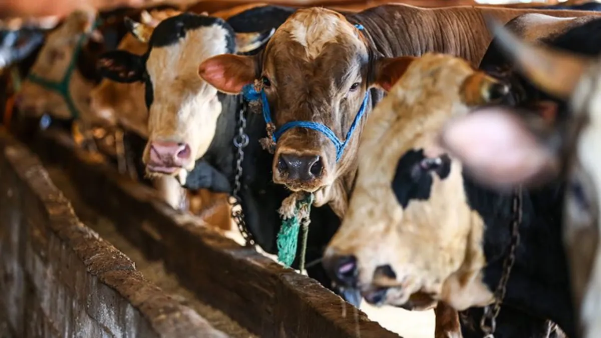 BAYRAM TARİHİ: Kurban Bayramı ne zaman, bayram tatili kaç gün?