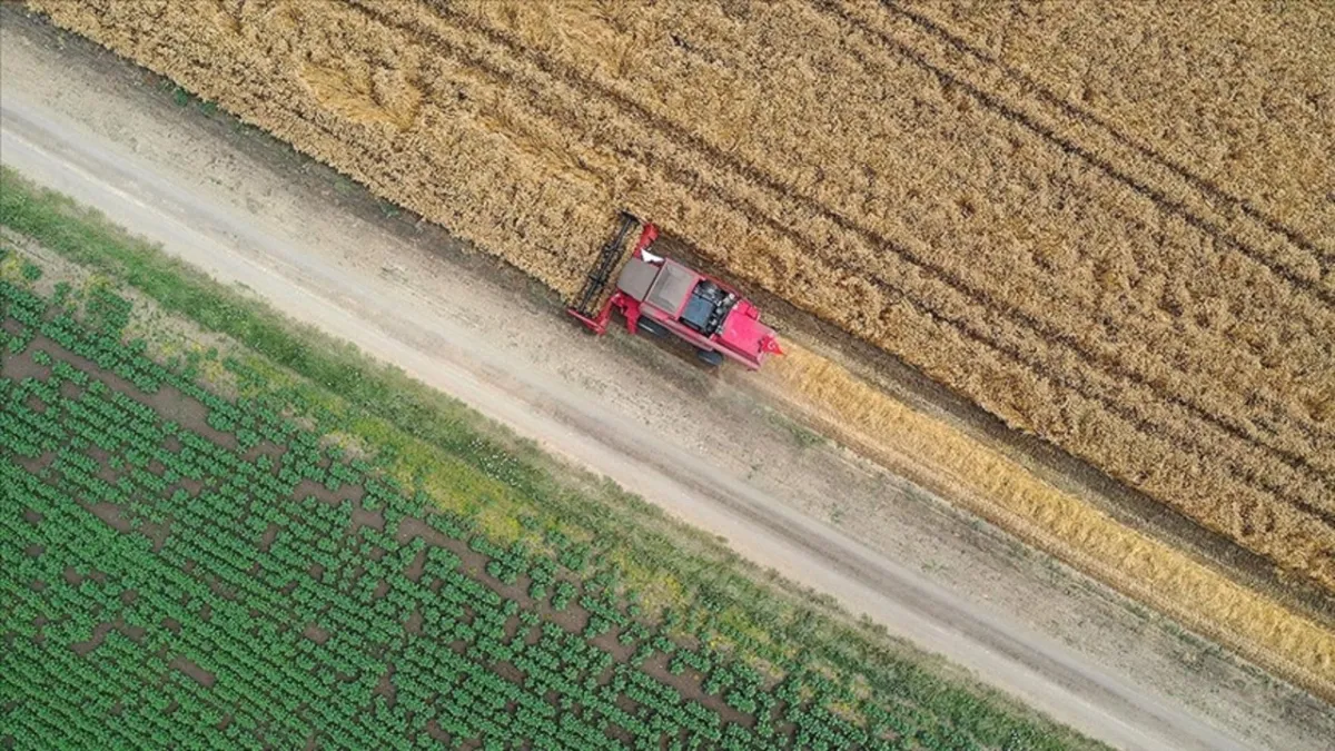 Tohum piyasasında rekabet ihlali soruşturmasında karar haber görseli