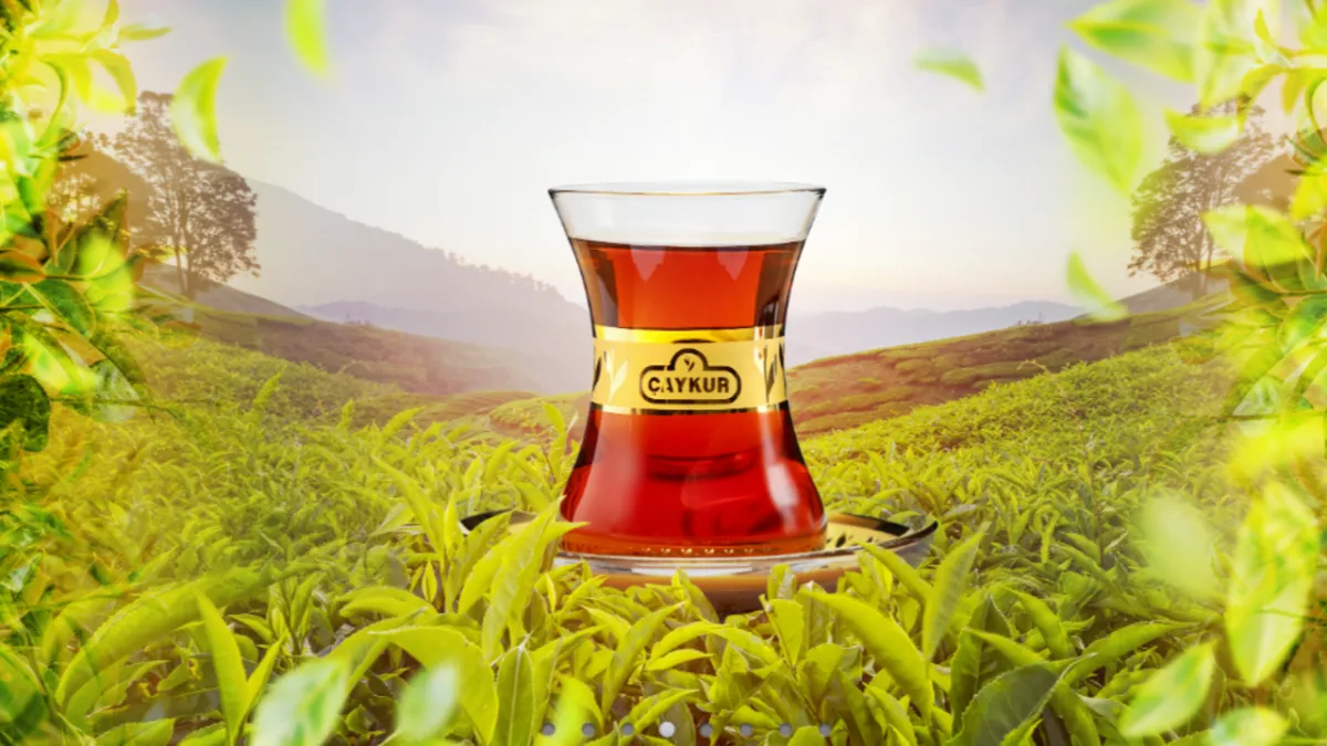 ÇAYKUR'un sözleşmeli personel atamalarında 40 yaş şartı kaldırıldı