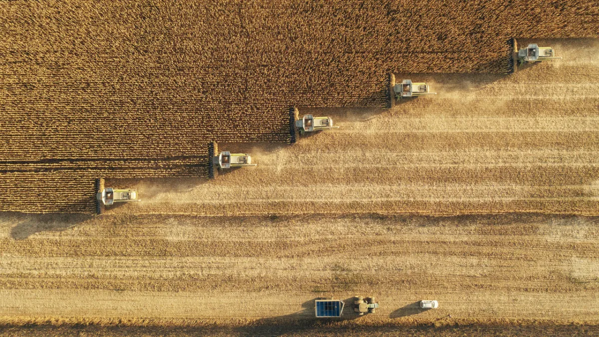 FAO'dan harekete geçme çağrısı: "Açlık füzelerden daha ekonomik bir silah"