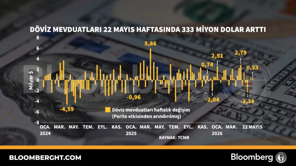 Döviz mevduatları 22 Mayıs haftasında 333 milyon dolar arttı