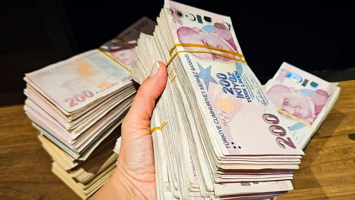 Varlık barışı Resmi Gazete'de: Kazancını Türkiye'ye getirene 20 yıl vergi yok